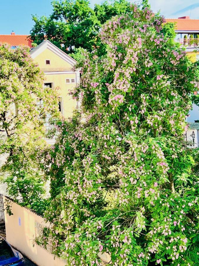 Super Apartment Old Town Klaipėda Kültér fotó